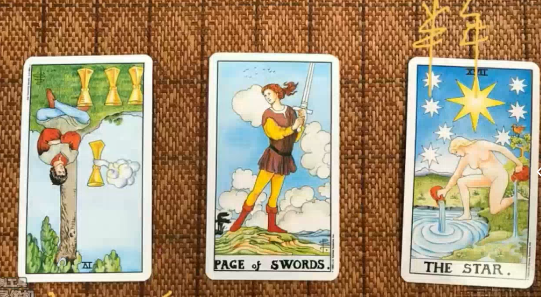 职业塔罗-海豚老师